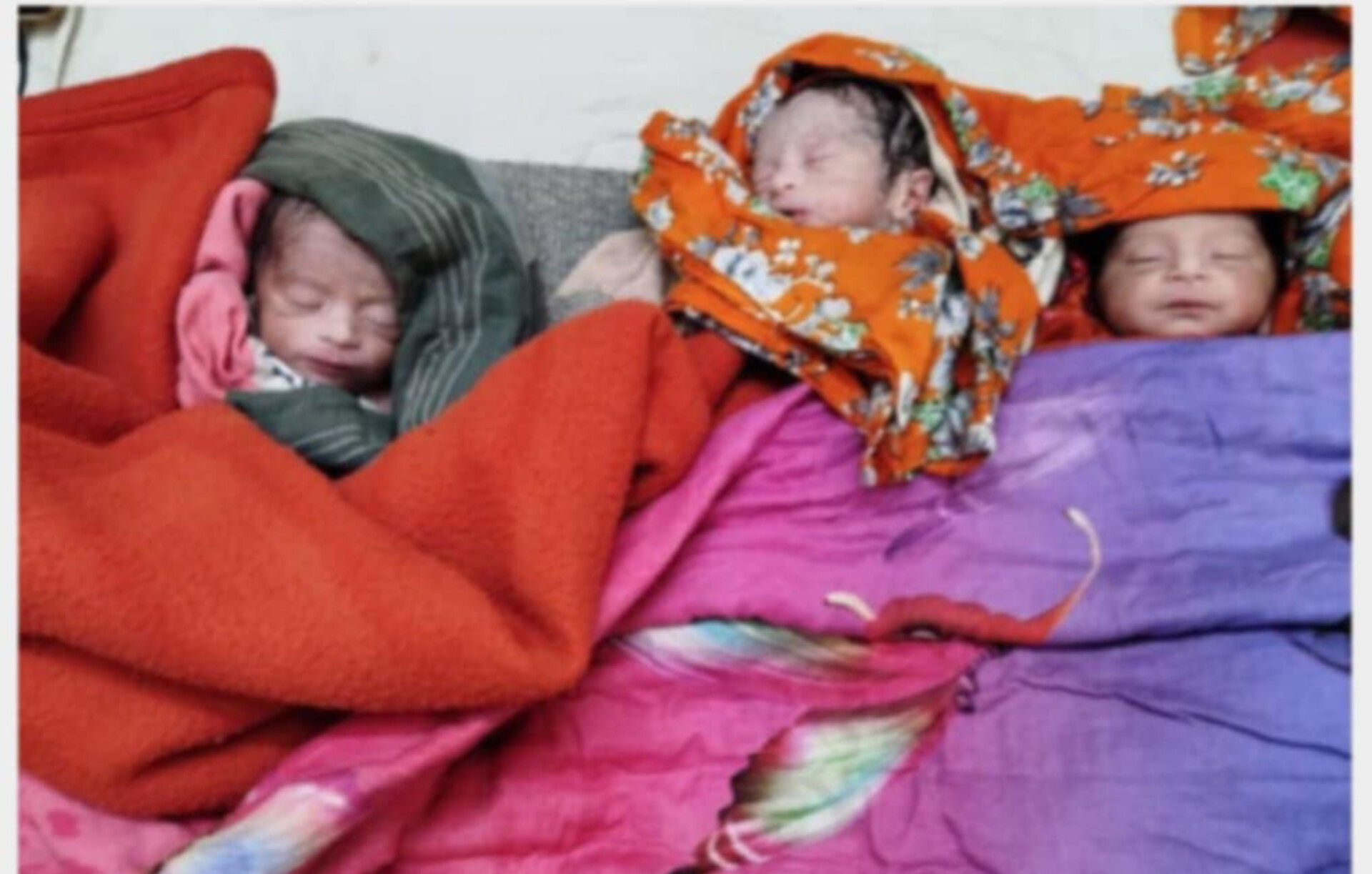 53d154c9-b070-4ac5-8a34-0329b18f842330166