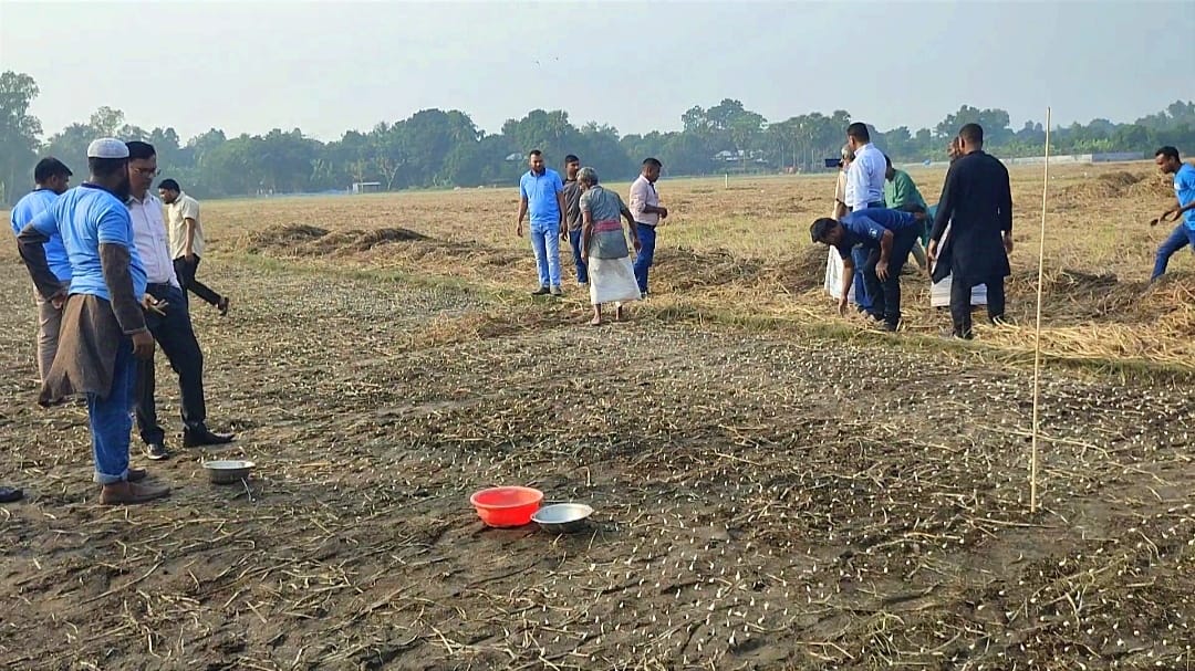 a78d4a06-831c-42e8-abf0-d5857124ba6329116