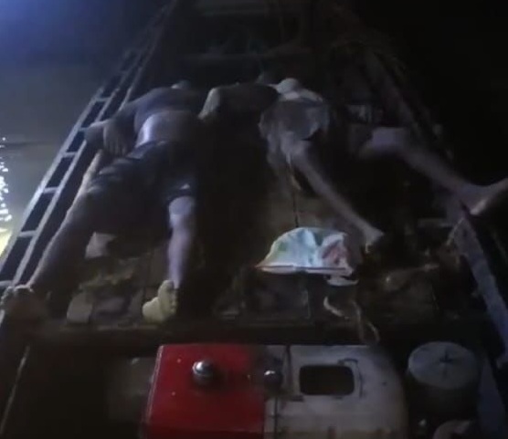 daa25f9a-ea3e-410a-9eed-00d28d7d0bf327022