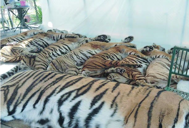 a14bb80c-84f6-483e-b6f0-8ce59651d74839963