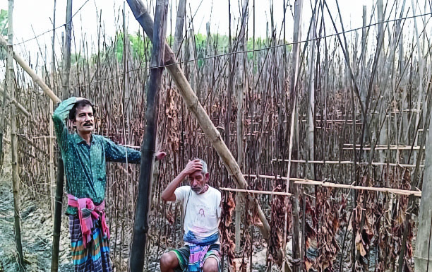 b53c658e-3d3a-4f20-8e35-ed7cd1c9e42340767