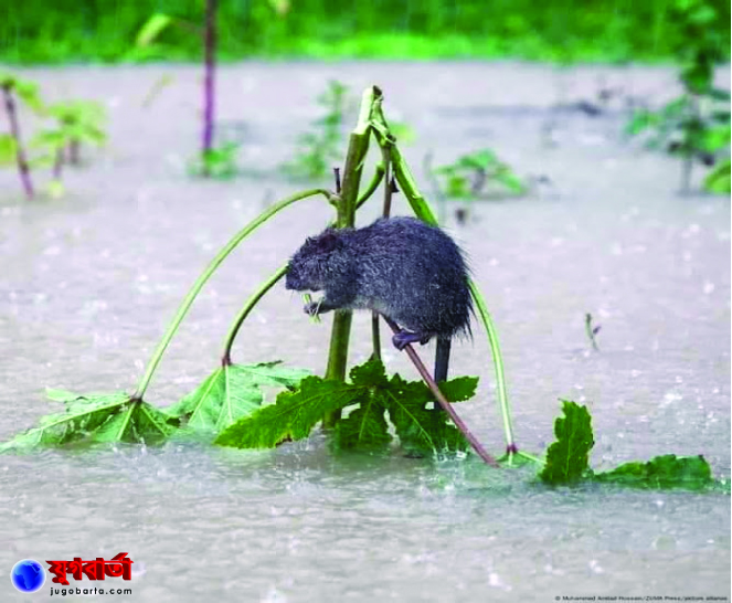 5974d141-e2ec-4577-9524-138a1c1e3ed627295