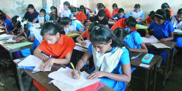 0d53ca07-3ec8-44a2-9e8c-b53fdd1d7a4939952